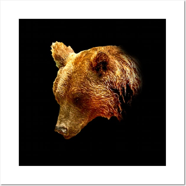 Brown bear Wall Art by Guardi